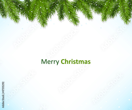 Christmas background with snow and branches