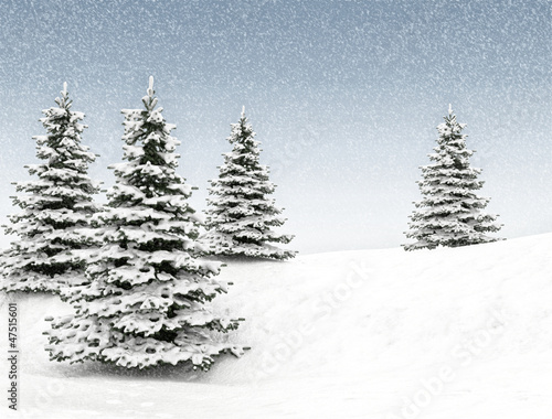 Winter background christmas tree and snow