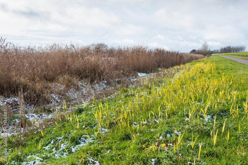 Fototapeta premium Colorful rural landscape in winter