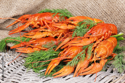 Tasty boiled crayfishes with fennel
