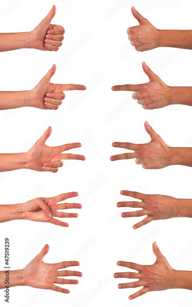Numeri con le mani Numeri con le mani
