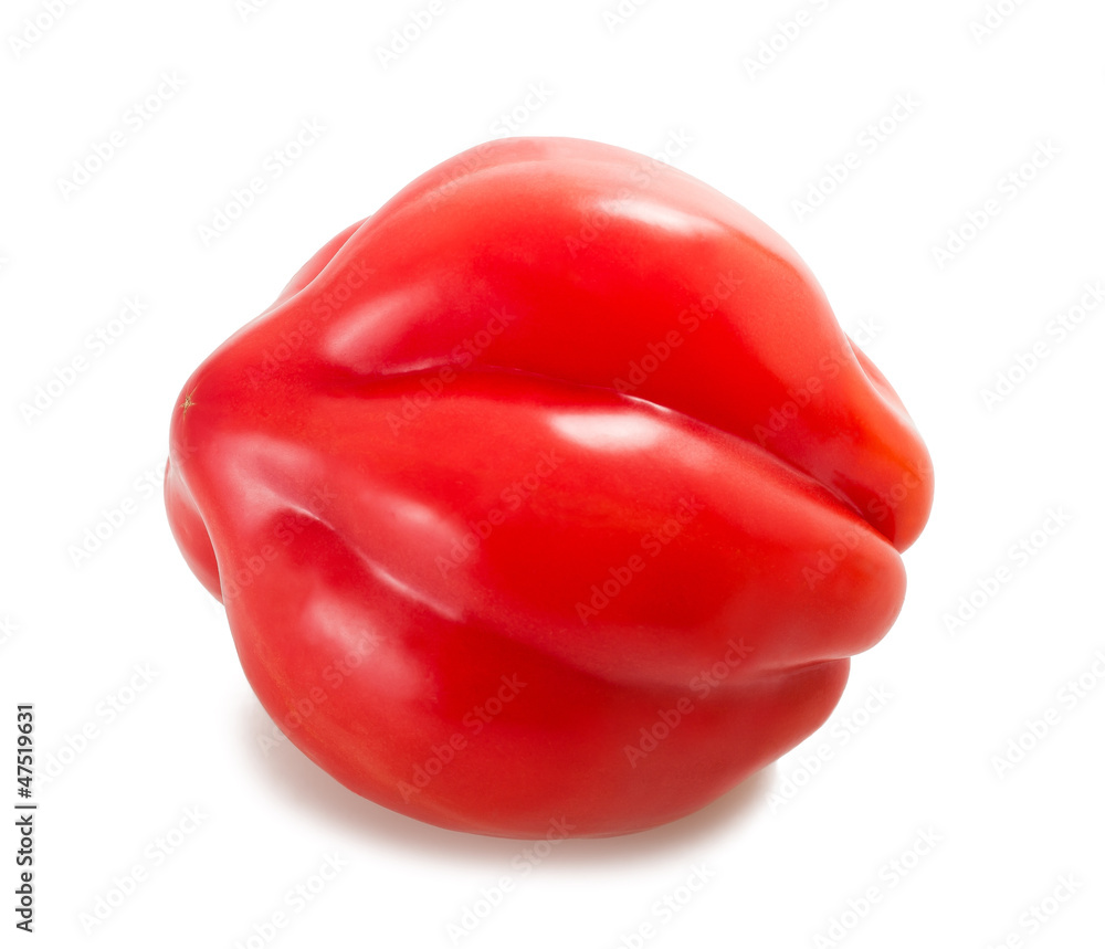 tomatoe tomatoe