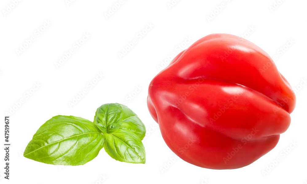 Basil and tomatoe Basil and tomatoe