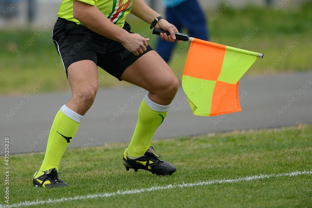 Obraz premium Guardaliee