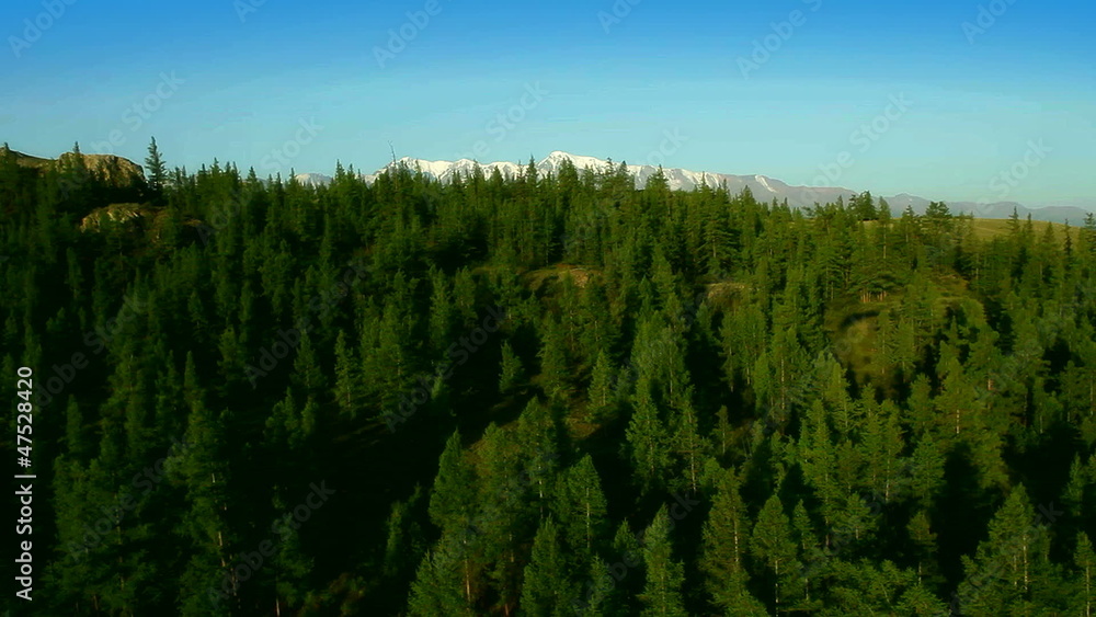 flight over mountains forest flight over mountains forest