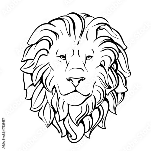 head of lion