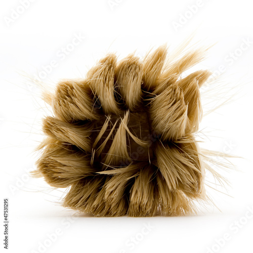 Large round brush - Front View