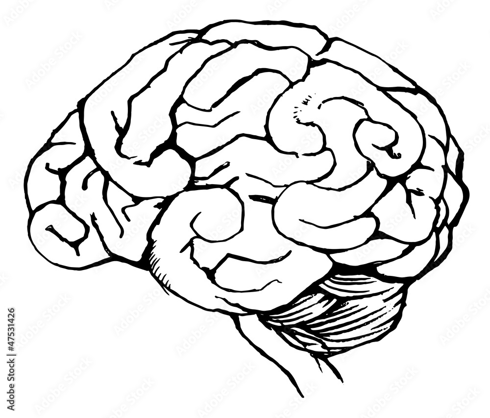 Human brain Human brain