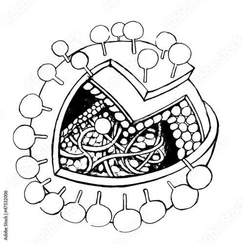 Virus