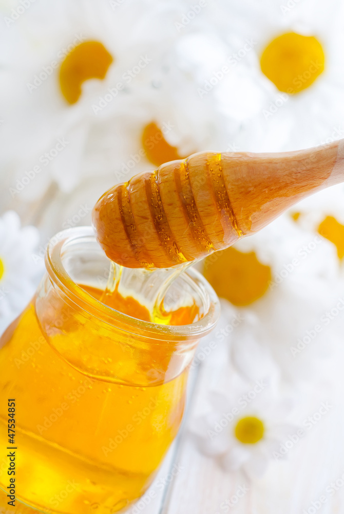 fresh honey in the glass bank and camomiles fresh honey in the glass bank and camomiles