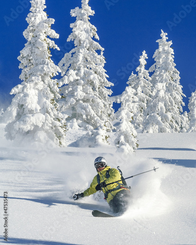 Skifahrer im Winterwonderland