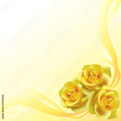 Yellow roses background