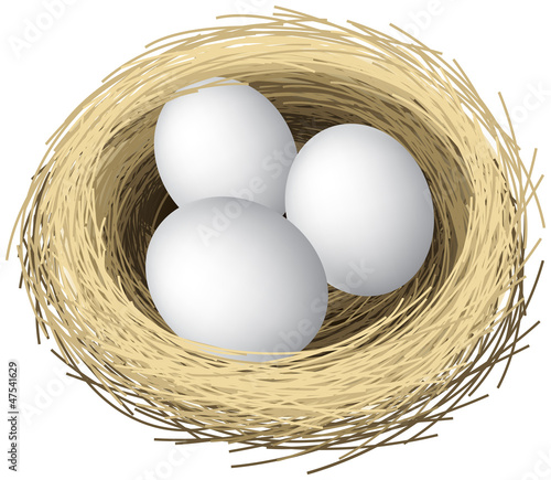 Layered vector illustration of nest eggs