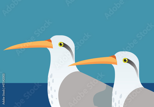 Canvas Print Long beaked birds