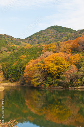 autumn forest and pond © kenjii