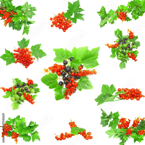 Collage of berrys on white background. Isolated