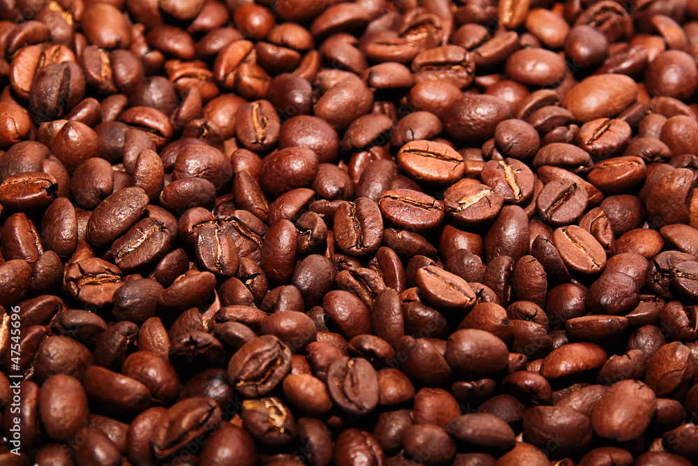 Obraz premium Beans of coffe may use as background