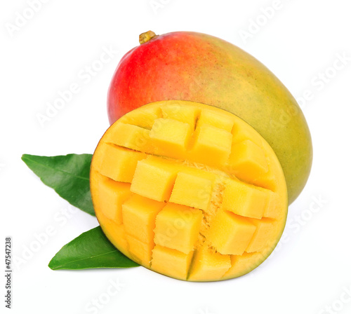Mango fetus fruit