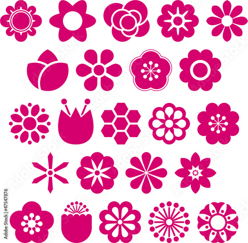 Set of Vectorized Flowers