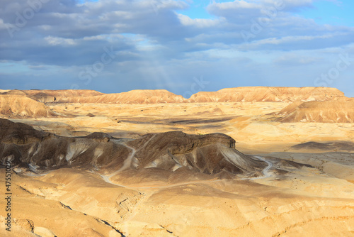 Negev Desert