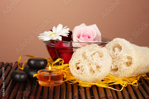 Loofah on color background