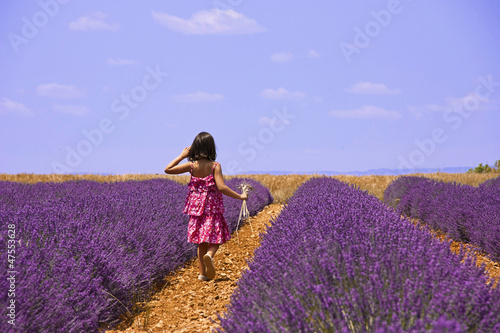 Fototapeta Naklejka Na Ścianę i Meble -  Provence - Enfant dans les champs de lavandes 3