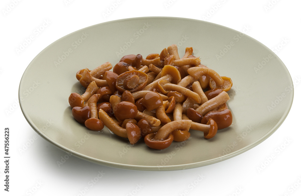 Mushrooms Mushrooms
