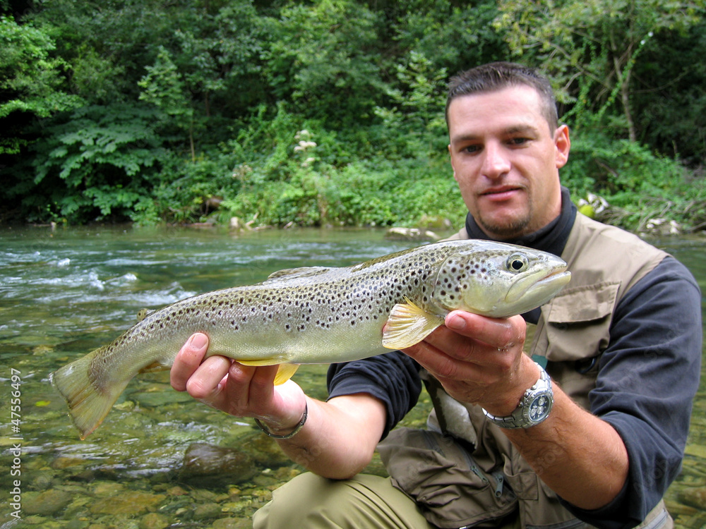 39 Best Truite Fario Images Stock Photos Vectors Adobe Stock