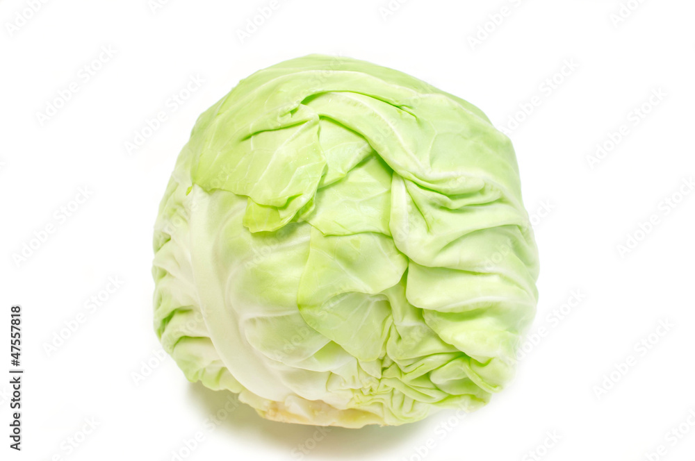 cabbage cabbage
