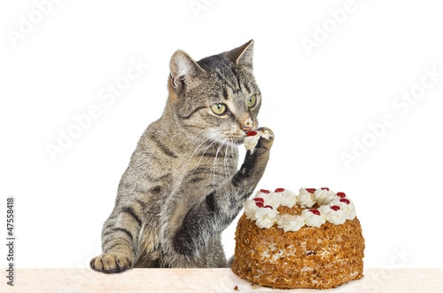 Sweet Tooth