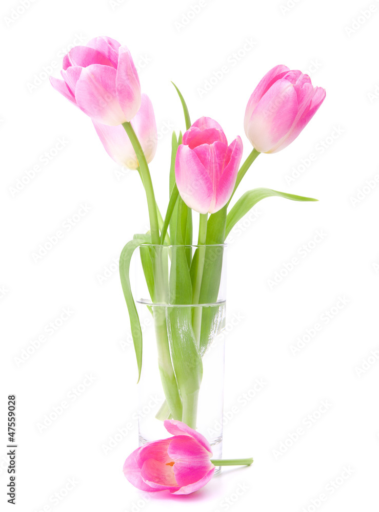 Pink tulips bouquet in vase isolated on white background Pink tulips bouquet in vase isolated on white background