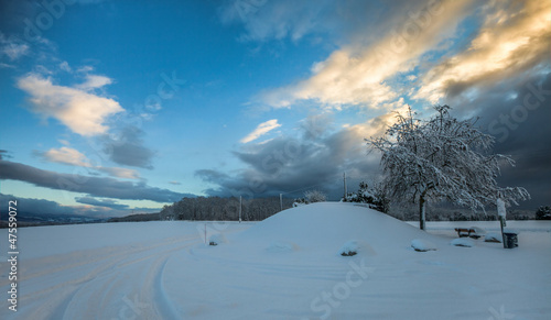 Winter Landscape, Switzerland © akulamatiau