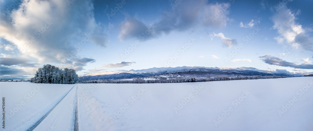 Winter Landscape, Switzerland