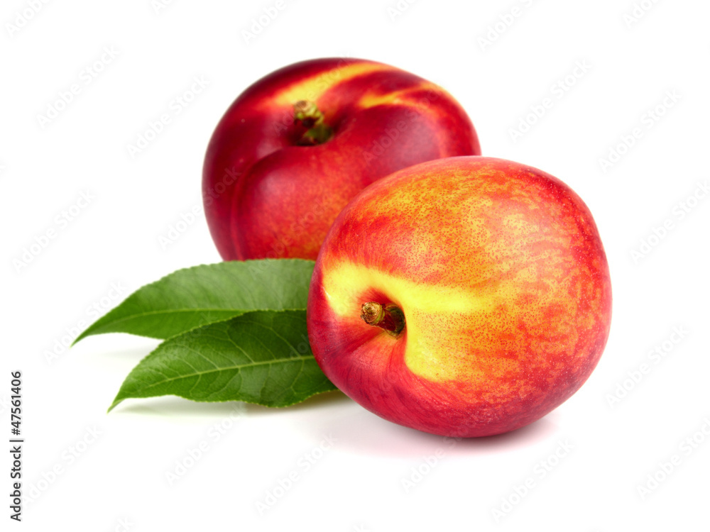 Nectarine with leaves Nectarine with leaves