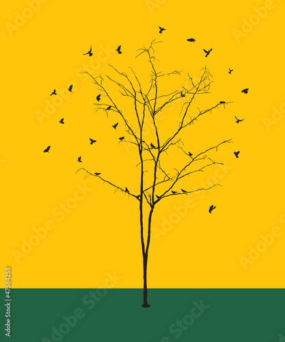 Fototapeta Naklejka Na Ścianę i Meble -  Leafless tree with birds silhouettes