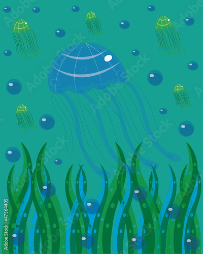 Jellyfishes in the sea.