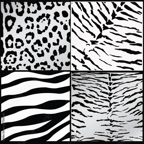 Wild animals skin textures