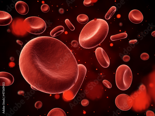 Blood particles in focus