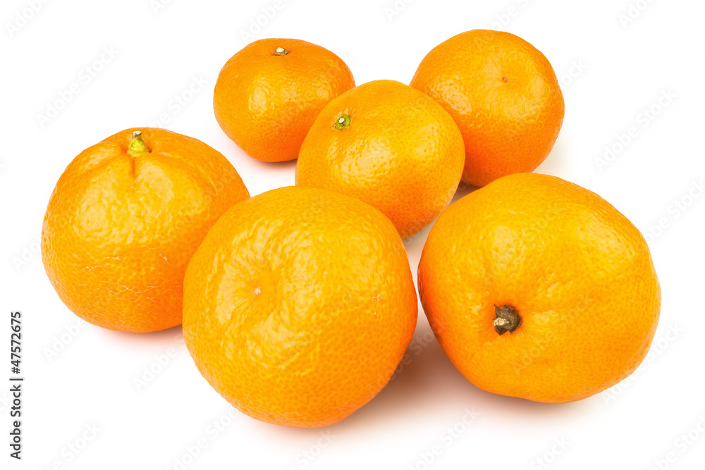tangerine group tangerine group
