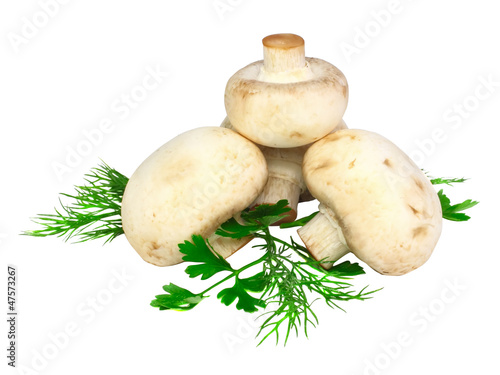 Mushroom champignon with green parsley .Isolated