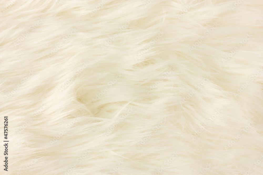 White fur texture, close-up.Useful as background White fur texture, close-up.Useful as background