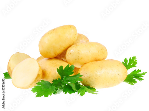 Young potatoes, decorating of parsley . Isolated