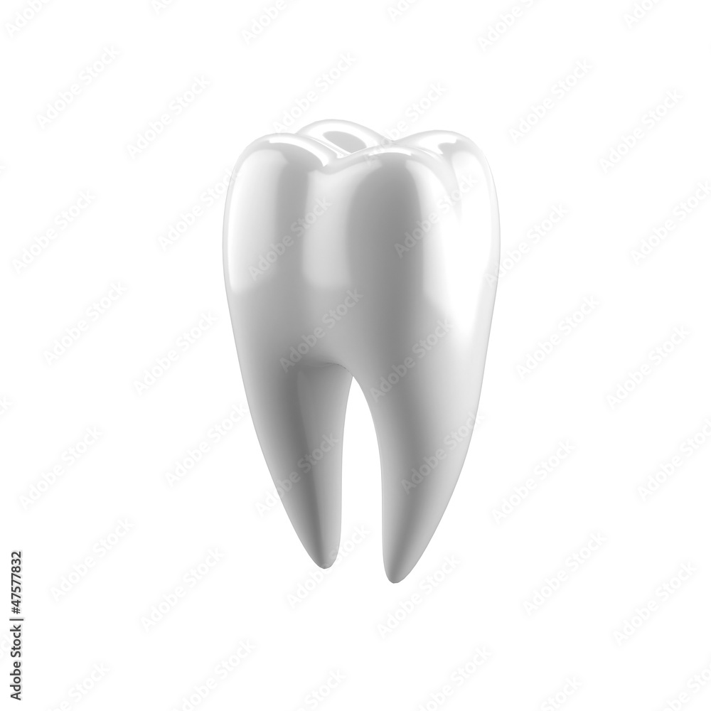White human tooth White human tooth