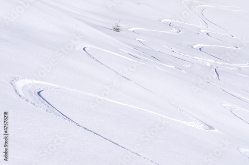 freeride tracks on powder snow