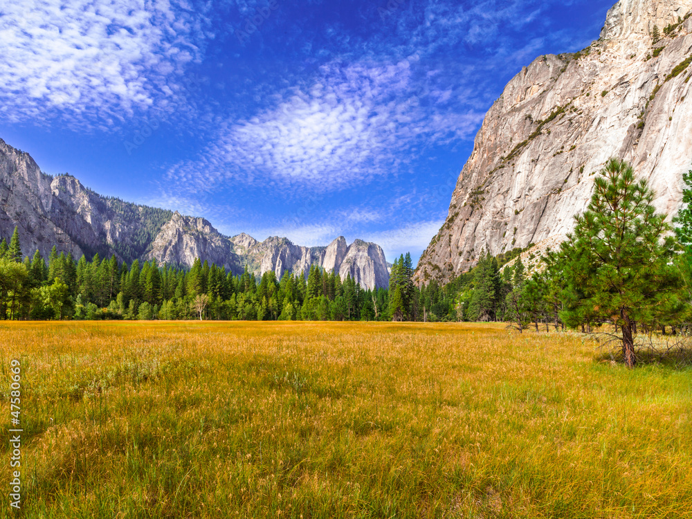 Yosemite Valley Meadows