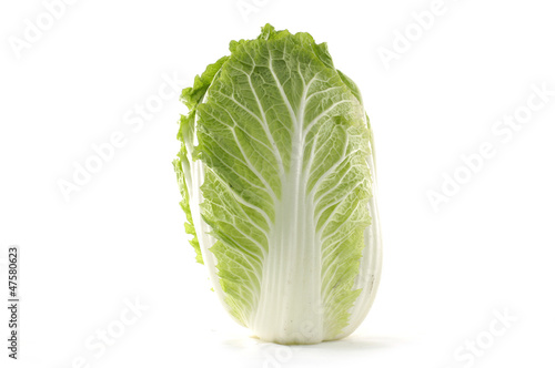 The big fresh Chinese cabbage