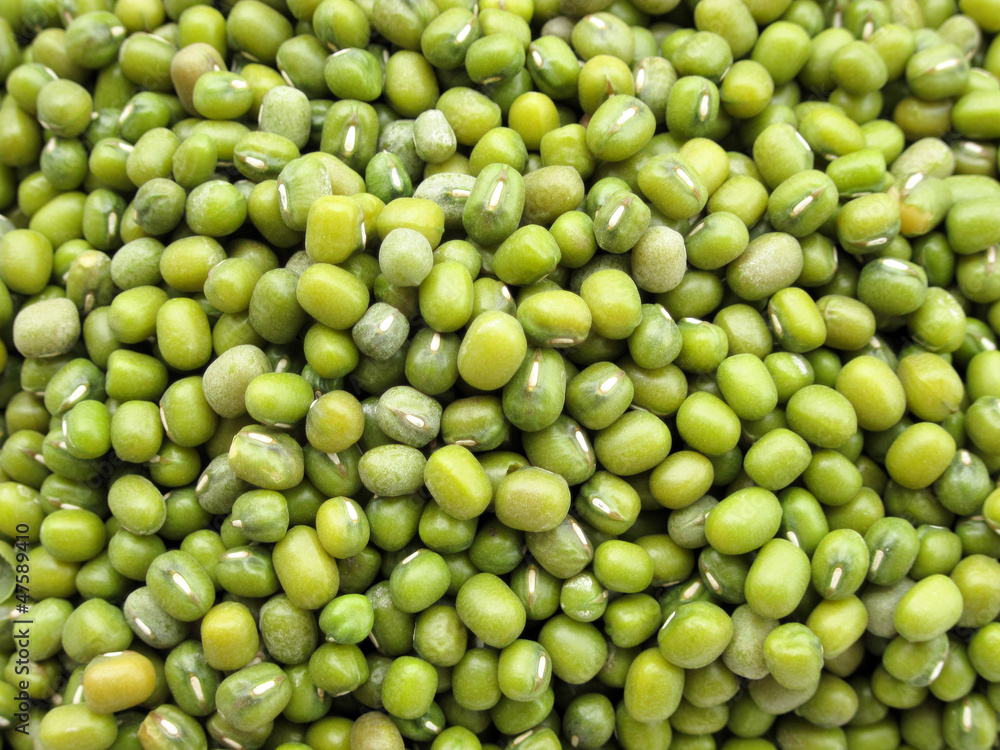 mung bean