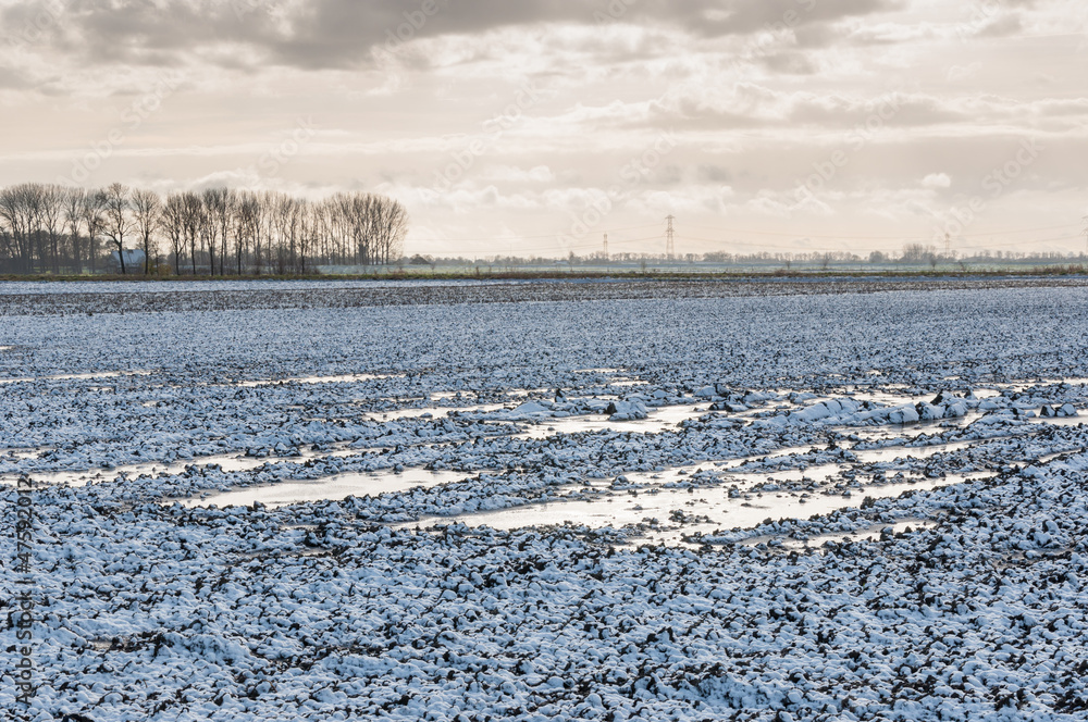 Wintry landscape with snowy fields