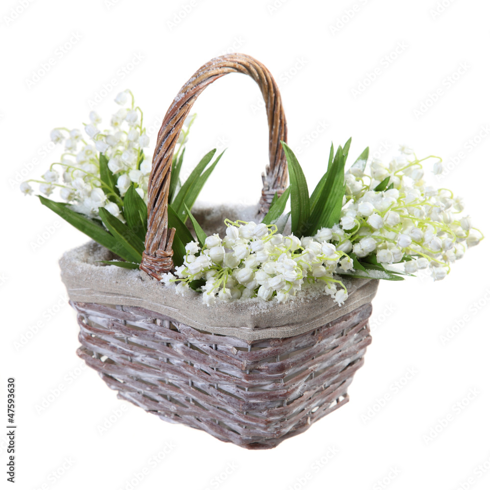 basket of flowers on a white background