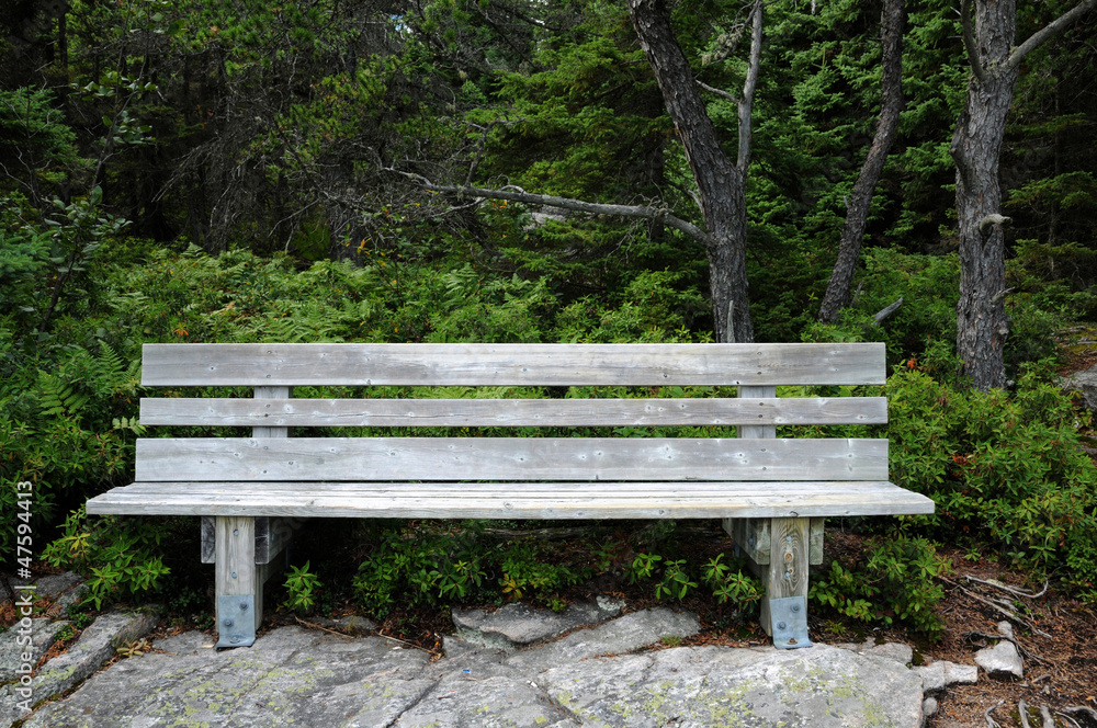 Quebec, a bench in a forest